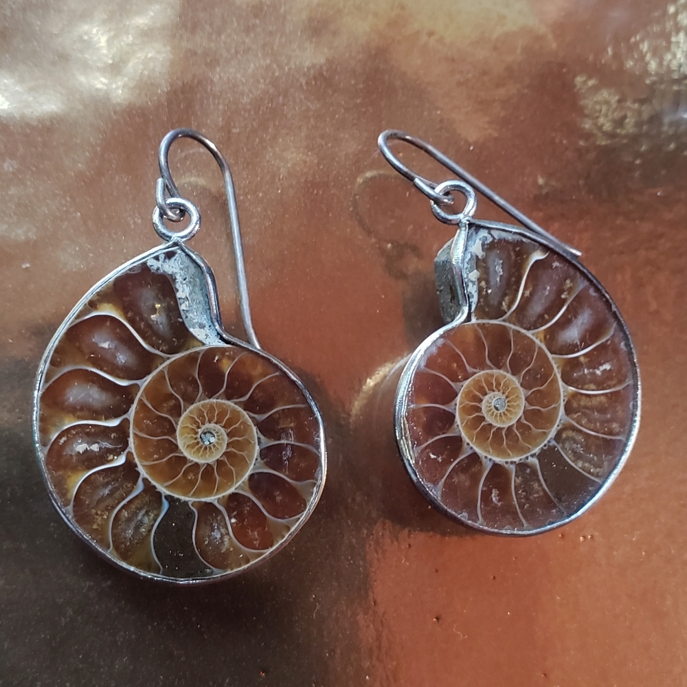 Nautilus Fossil Earrings